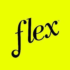 Flex Discs logo