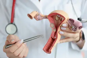 vulva-and-vagina