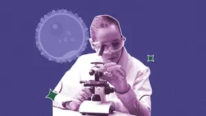 embryologist looking through a microscope