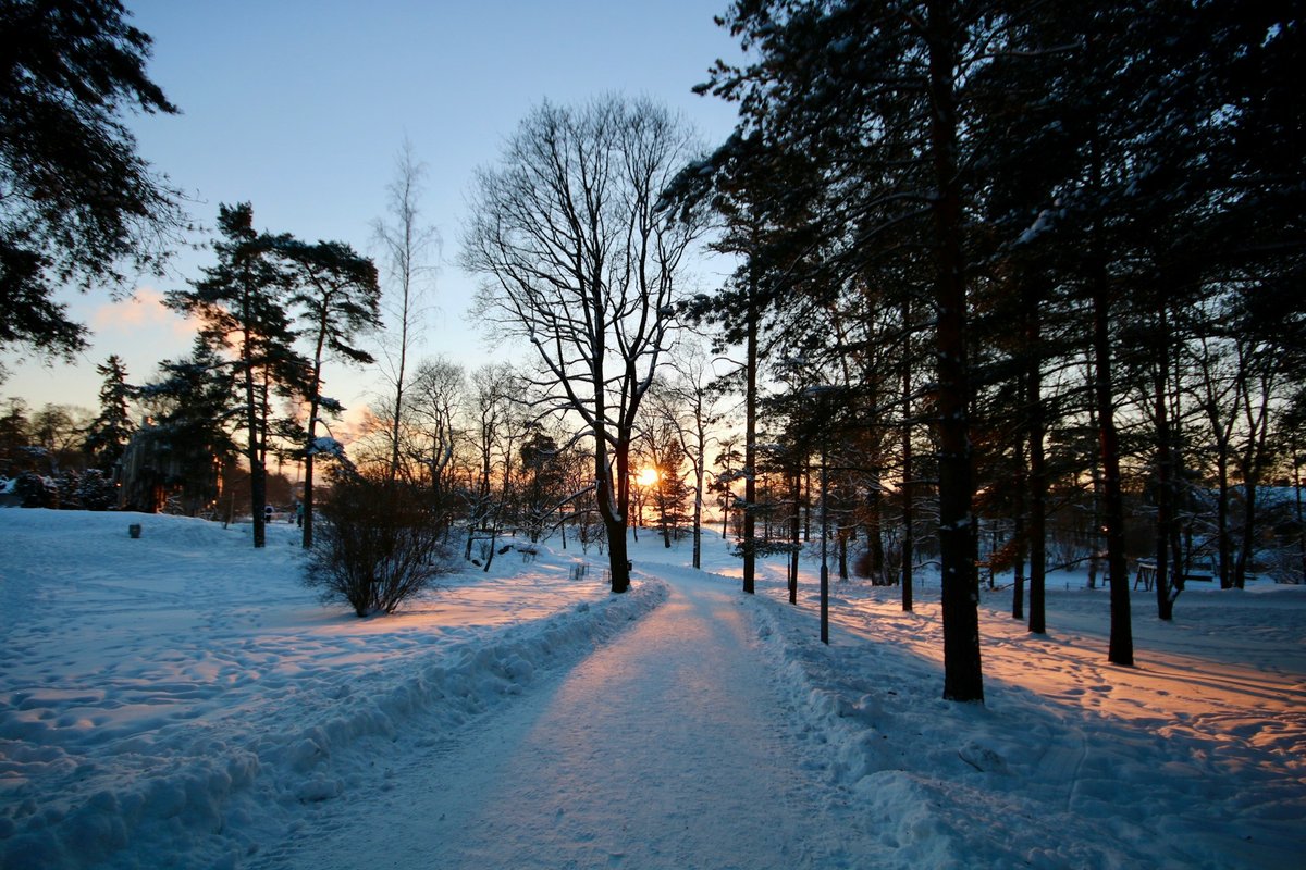 Embracing the Art of Wintering and Why I'm Slowing Down This Season