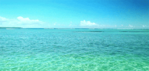 What Is "Ocean View" Theory? The Viral Relationship Hack for Less Toxic Arguments