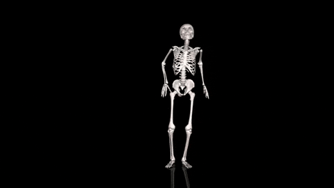 Bone Health 101: The Best Exercises and Calcium-Rich Foods to Start Now