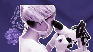 technician doing ivf embryo grading